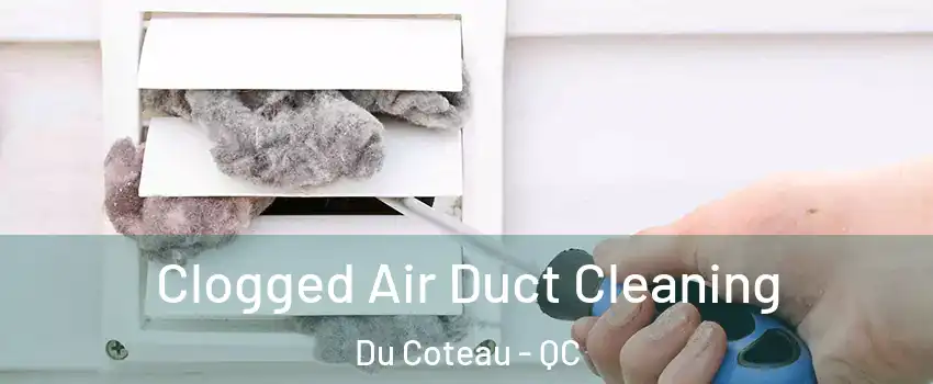  Clogged Air Duct Cleaning Du Coteau - QC