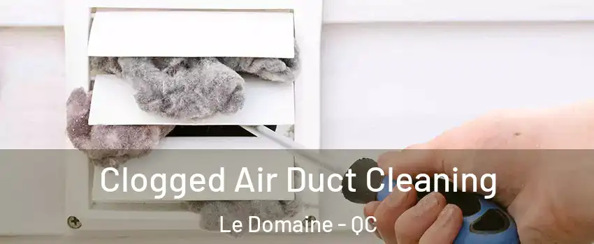  Clogged Air Duct Cleaning Le Domaine - QC