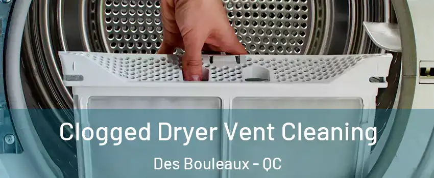  Clogged Dryer Vent Cleaning Des Bouleaux - QC