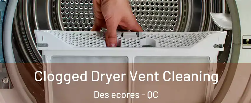 Clogged Dryer Vent Cleaning Des ecores - QC