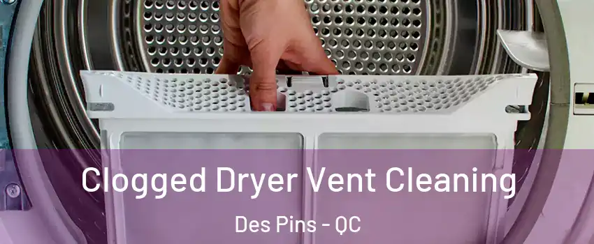  Clogged Dryer Vent Cleaning Des Pins - QC