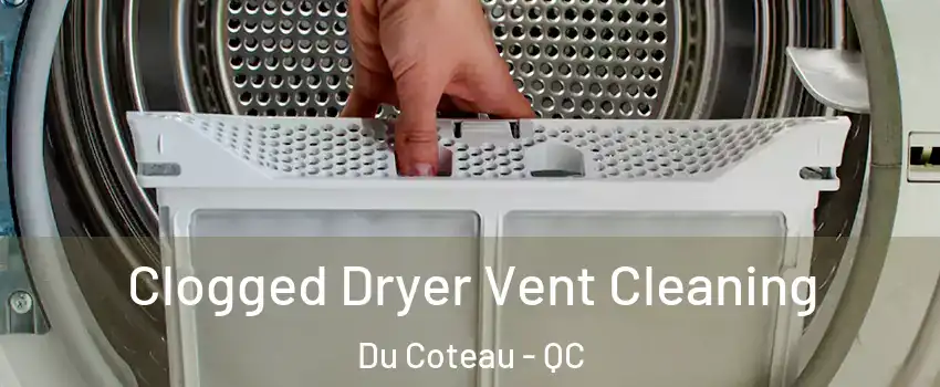  Clogged Dryer Vent Cleaning Du Coteau - QC
