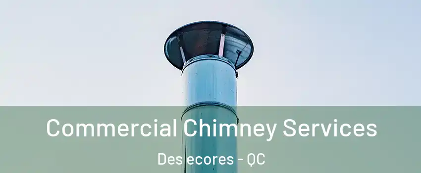  Commercial Chimney Services Des ecores - QC