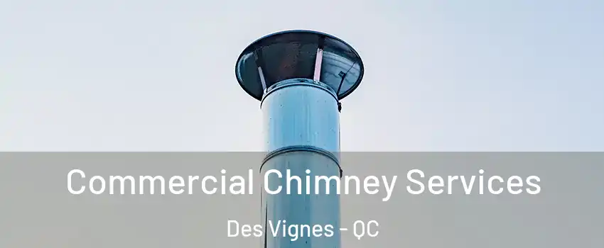  Commercial Chimney Services Des Vignes - QC