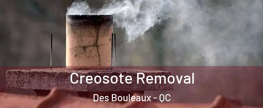  Creosote Removal Des Bouleaux - QC