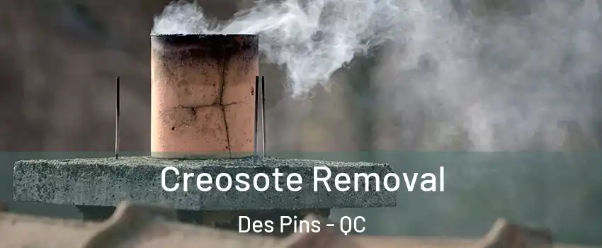  Creosote Removal Des Pins - QC