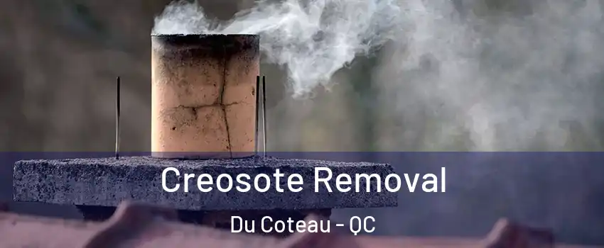  Creosote Removal Du Coteau - QC