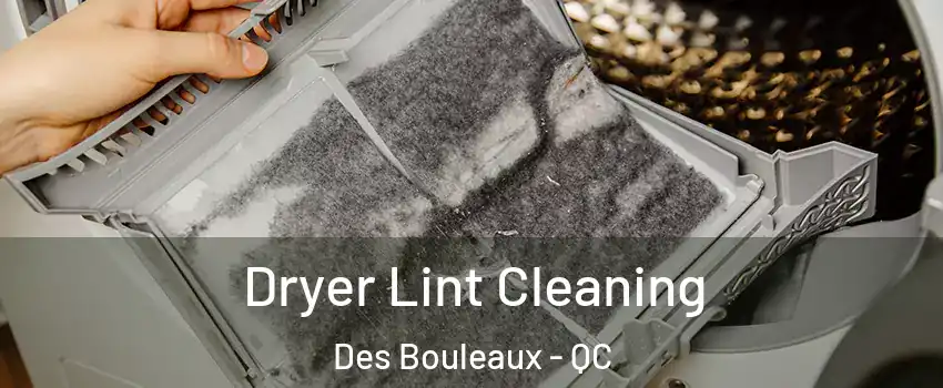  Dryer Lint Cleaning Des Bouleaux - QC