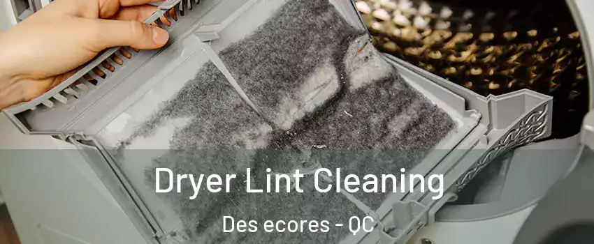  Dryer Lint Cleaning Des ecores - QC