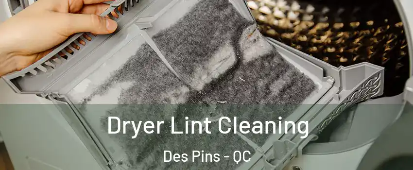  Dryer Lint Cleaning Des Pins - QC