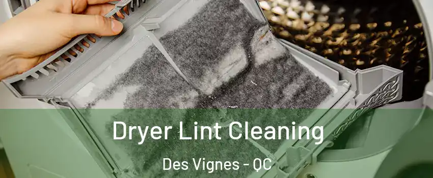  Dryer Lint Cleaning Des Vignes - QC