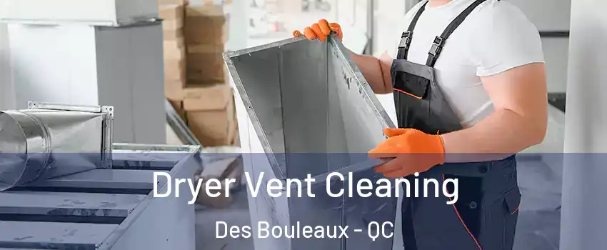  Dryer Vent Cleaning Des Bouleaux - QC
