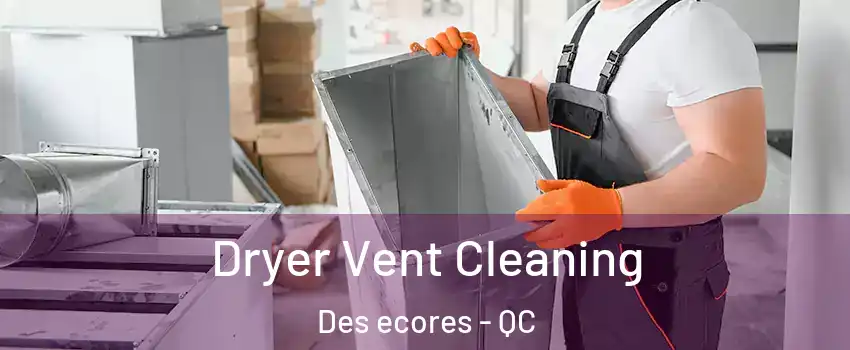  Dryer Vent Cleaning Des ecores - QC