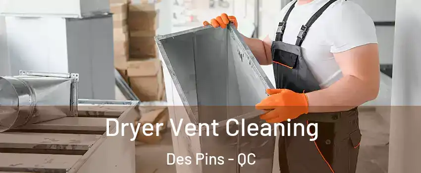  Dryer Vent Cleaning Des Pins - QC