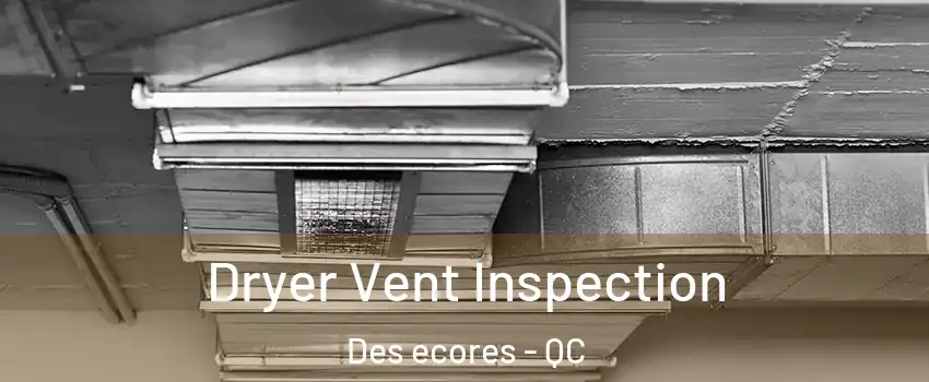  Dryer Vent Inspection Des ecores - QC