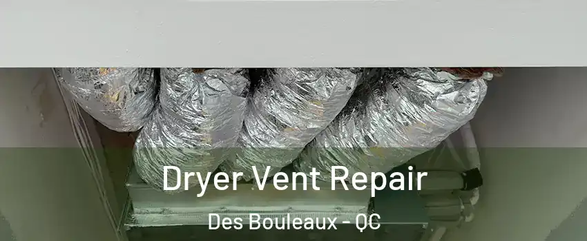  Dryer Vent Repair Des Bouleaux - QC