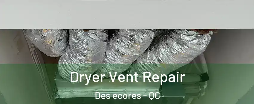  Dryer Vent Repair Des ecores - QC