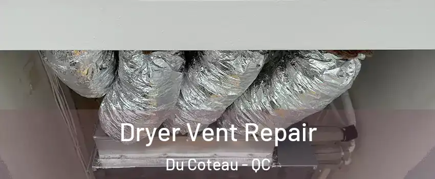  Dryer Vent Repair Du Coteau - QC