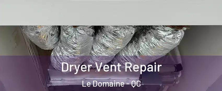  Dryer Vent Repair Le Domaine - QC