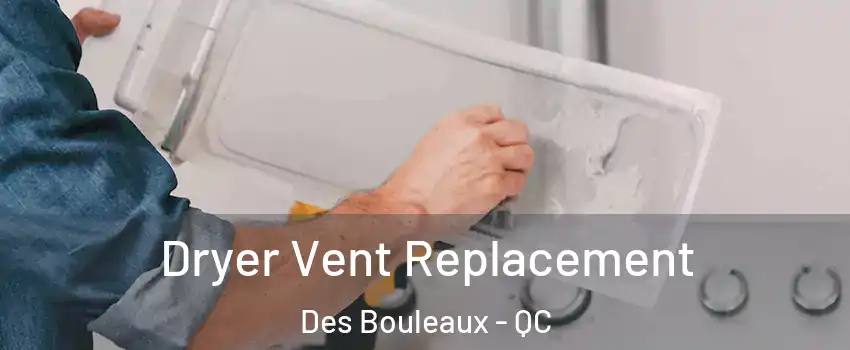  Dryer Vent Replacement Des Bouleaux - QC