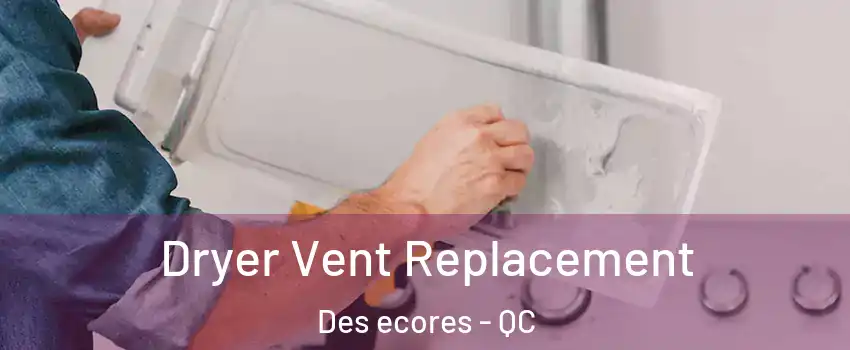  Dryer Vent Replacement Des ecores - QC