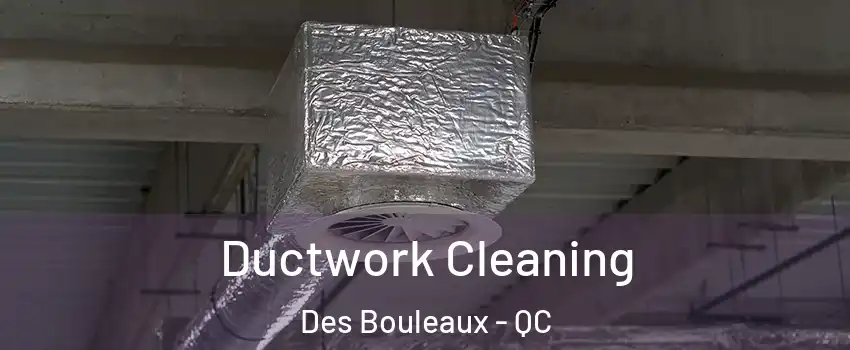  Ductwork Cleaning Des Bouleaux - QC