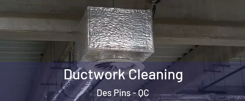  Ductwork Cleaning Des Pins - QC