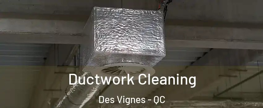  Ductwork Cleaning Des Vignes - QC