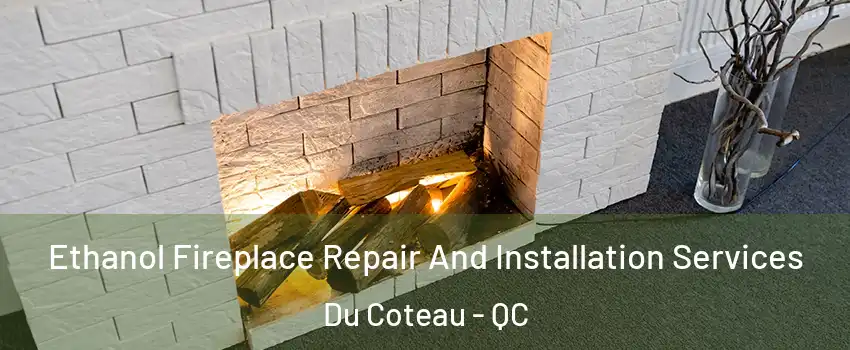  Ethanol Fireplace Repair And Installation Services Du Coteau - QC
