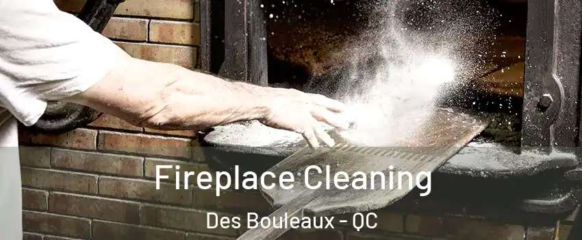  Fireplace Cleaning Des Bouleaux - QC