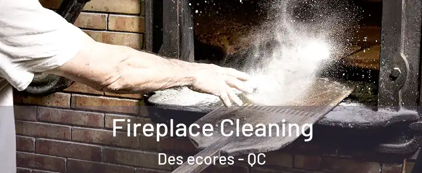 Fireplace Cleaning Des ecores - QC