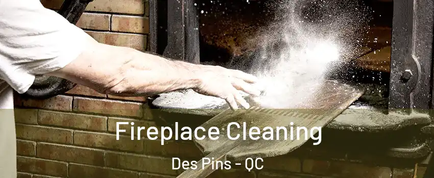  Fireplace Cleaning Des Pins - QC