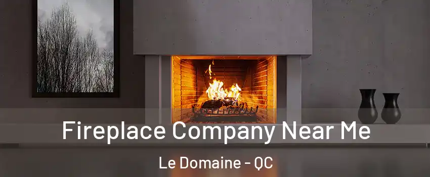 Fireplace Company Near Me Le Domaine - QC