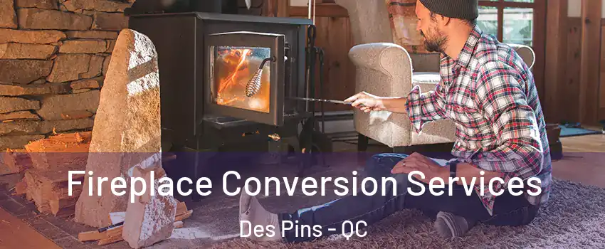  Fireplace Conversion Services Des Pins - QC