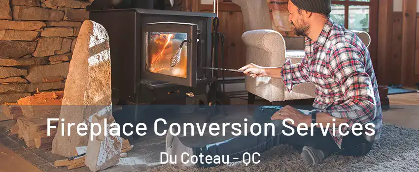  Fireplace Conversion Services Du Coteau - QC