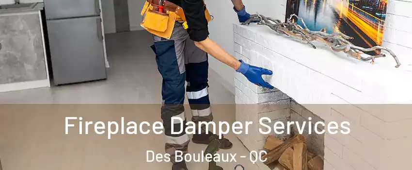  Fireplace Damper Services Des Bouleaux - QC