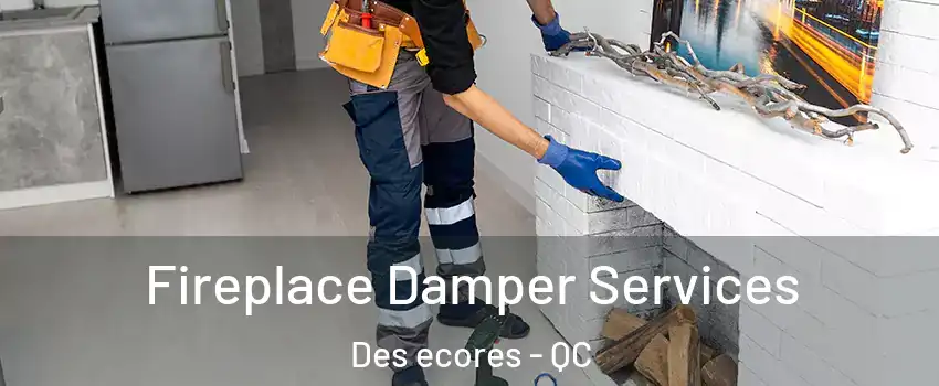  Fireplace Damper Services Des ecores - QC