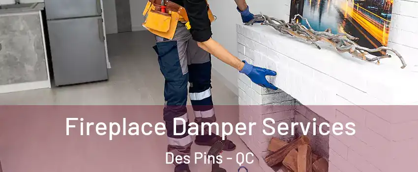  Fireplace Damper Services Des Pins - QC