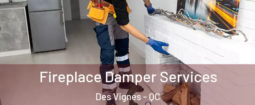  Fireplace Damper Services Des Vignes - QC