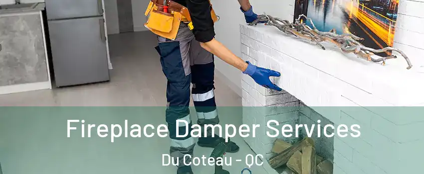  Fireplace Damper Services Du Coteau - QC