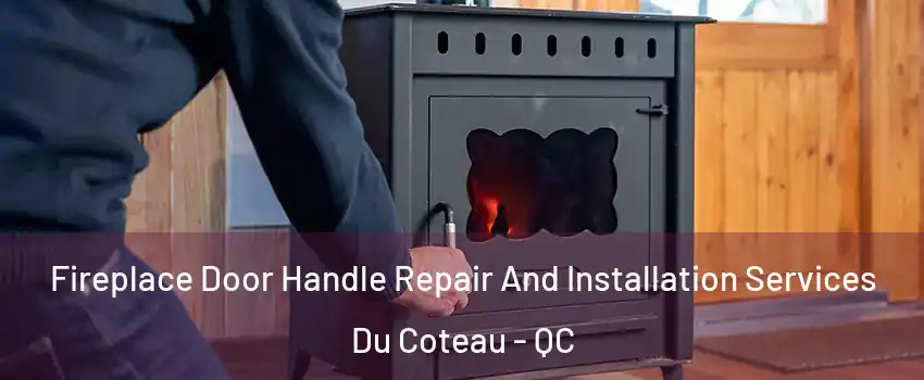  Fireplace Door Handle Repair And Installation Services Du Coteau - QC