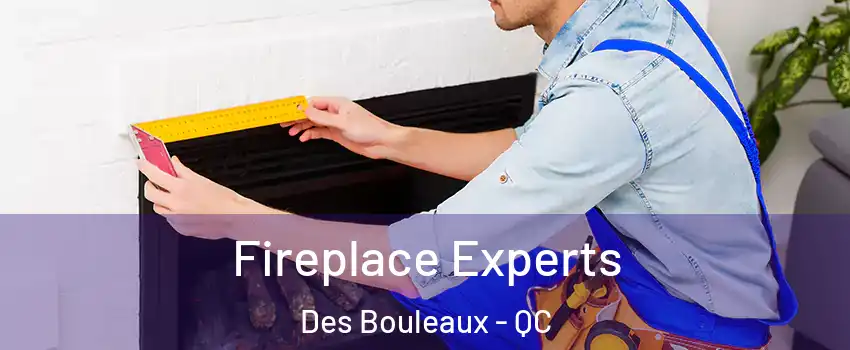  Fireplace Experts Des Bouleaux - QC
