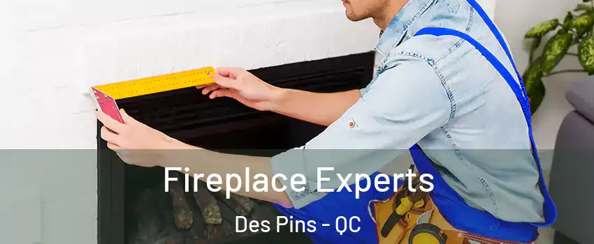  Fireplace Experts Des Pins - QC