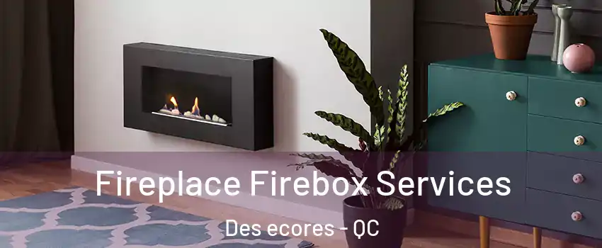 Fireplace Firebox Services Des ecores - QC