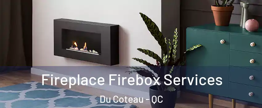  Fireplace Firebox Services Du Coteau - QC