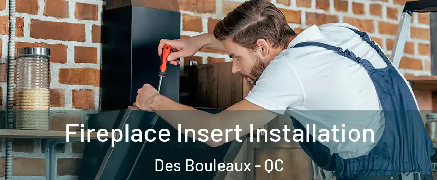  Fireplace Insert Installation Des Bouleaux - QC