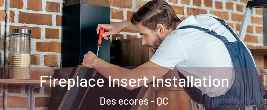  Fireplace Insert Installation Des ecores - QC