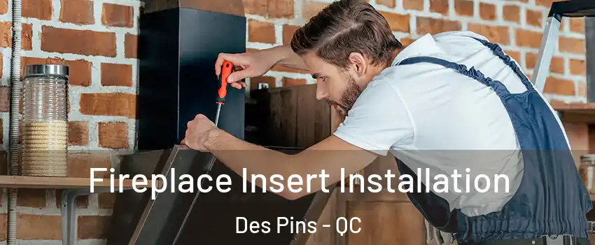 Fireplace Insert Installation Des Pins - QC