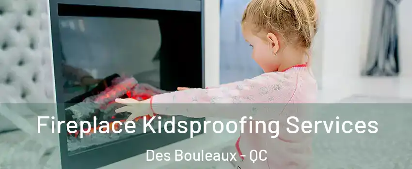  Fireplace Kidsproofing Services Des Bouleaux - QC