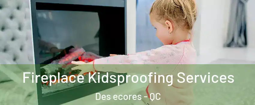  Fireplace Kidsproofing Services Des ecores - QC